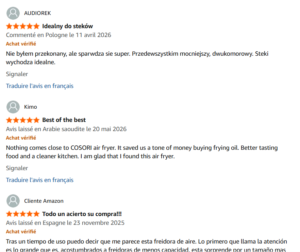 avis des utilisateurs cosori airfryer twinfry 1